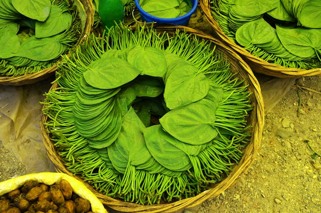 Think Betel Leaves Are Harmful? Science Says Otherwise!